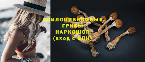 прущий лед Мегион