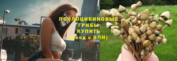 марки nbome Медвежьегорск