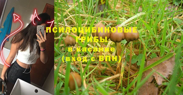 марки nbome Медвежьегорск