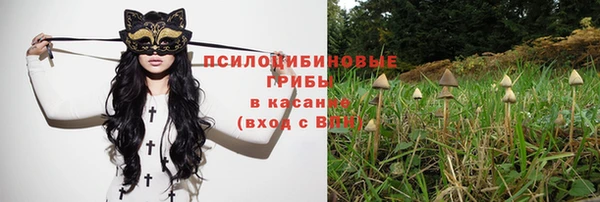 прущий лед Мегион