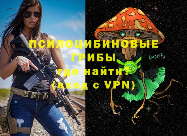 ALPHA PVP Беломорск